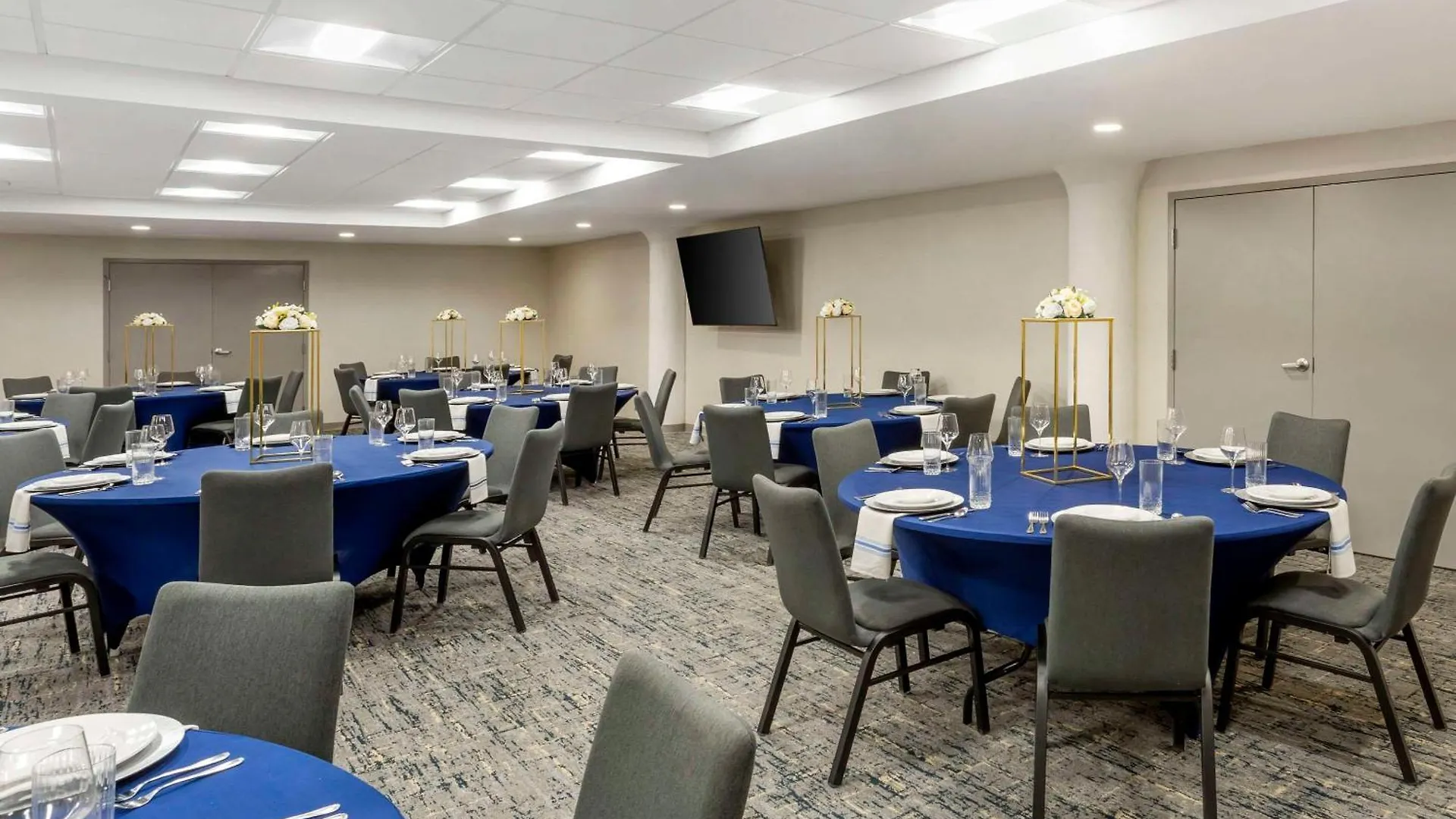 Comfort Inn & Suites Newark Liberty International Airport מלון